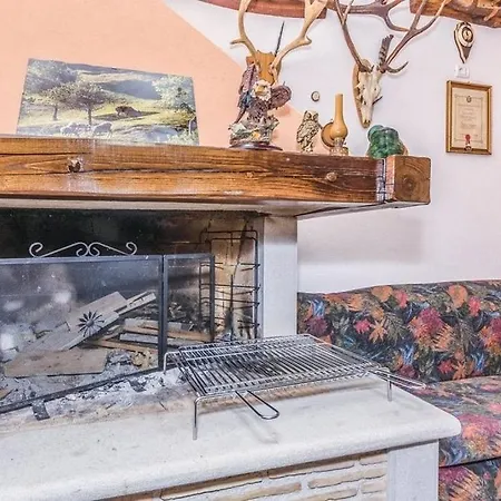 Family Friendly House With A Swimming Pool Dolenja Vas, Istria - Sredisnja Istra - 24528 Dolenja Vas